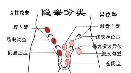 QQ圖片20220425092951.png