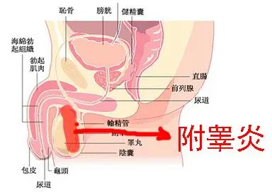 QQ圖片20220425094130.png